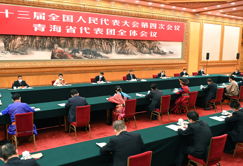 習近平參加青海代表團審議 